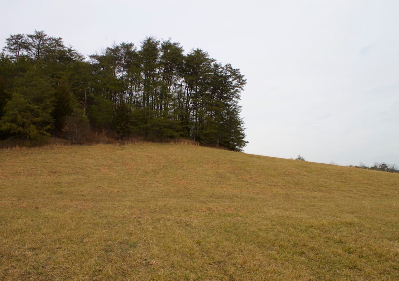 Majestic Rock Ranch Tract 10 photo 6
