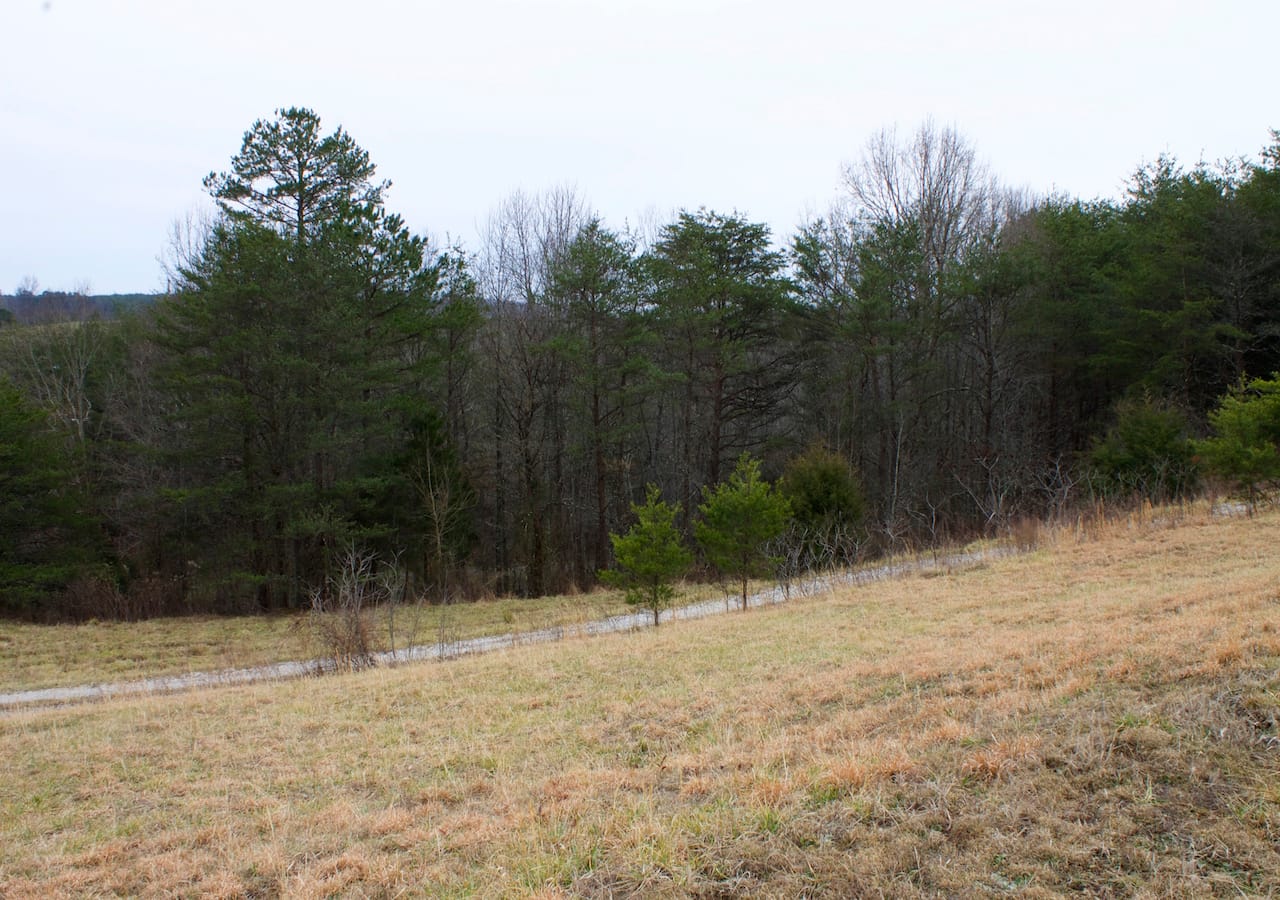 Majestic Rock Ranch Tract 10 photo 8