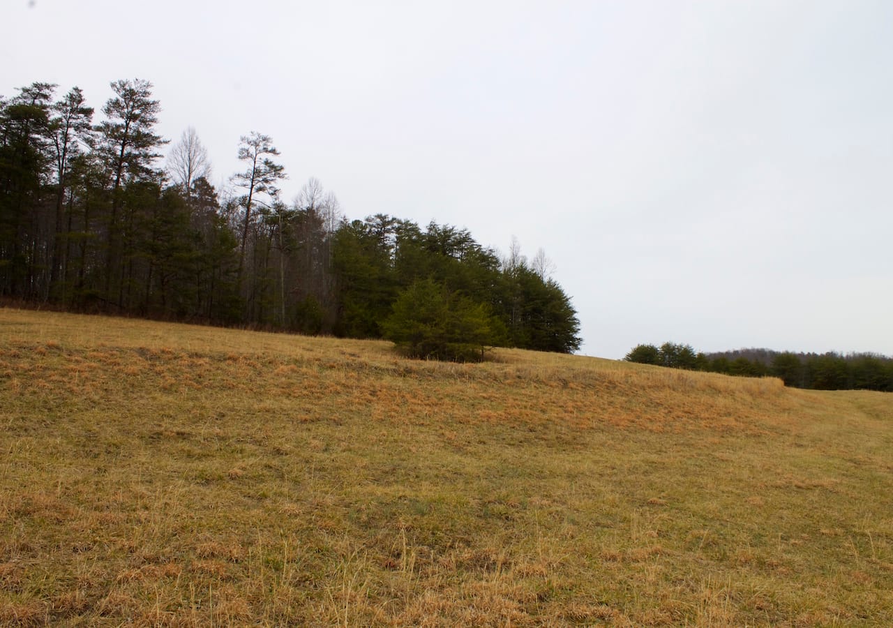 Majestic Rock Ranch Tract 10 photo 11