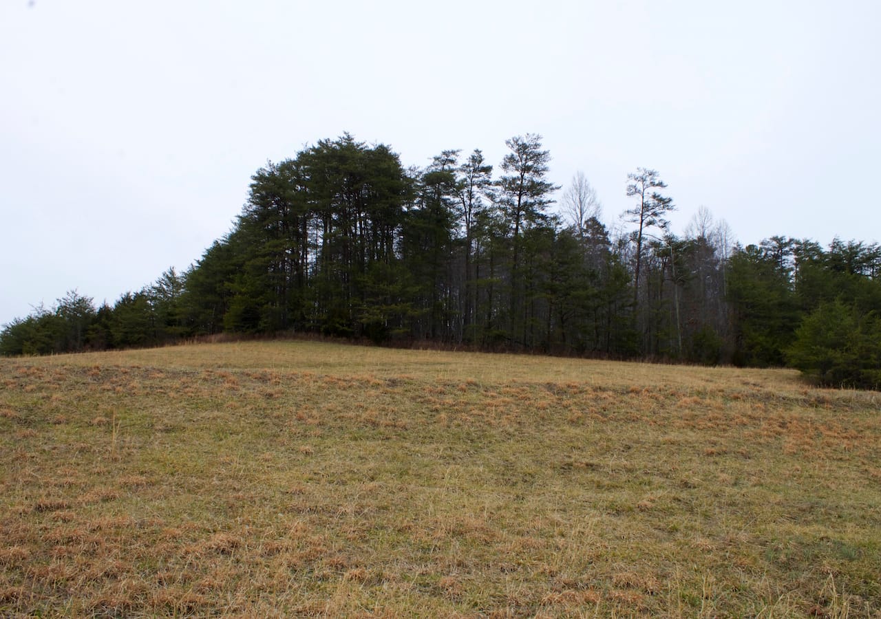 Majestic Rock Ranch Tract 10 photo 12