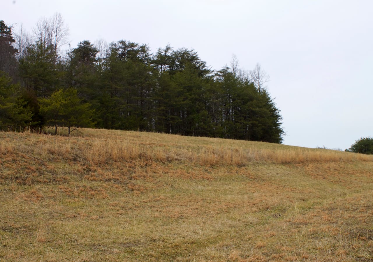 Majestic Rock Ranch Tract 10 photo 14