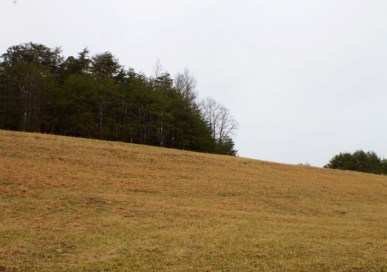 Majestic Rock Ranch Tract 10 photo 16