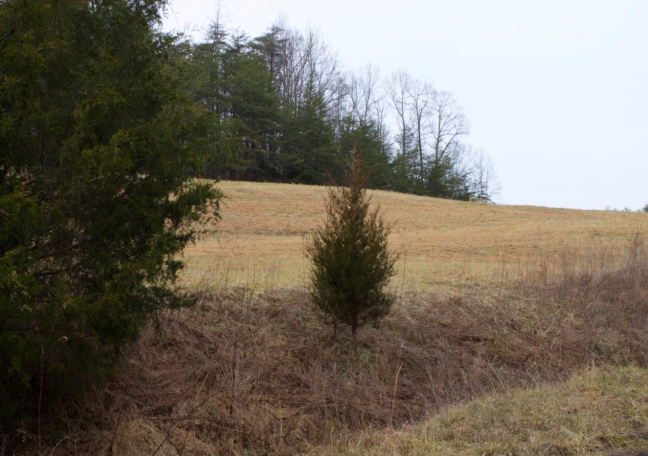 Majestic Rock Ranch Tract 10 photo 17