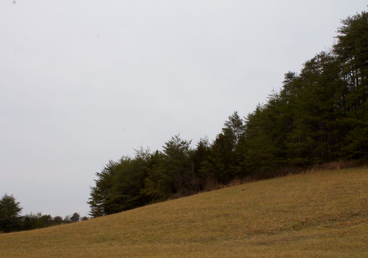 Majestic Rock Ranch Tract 10 photo 18