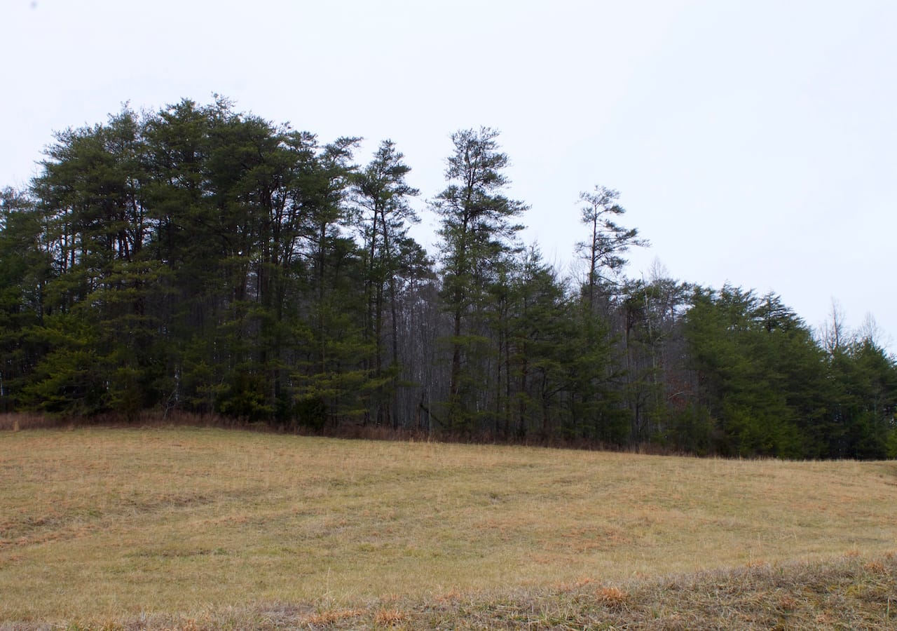 Majestic Rock Ranch Tract 10 photo 19
