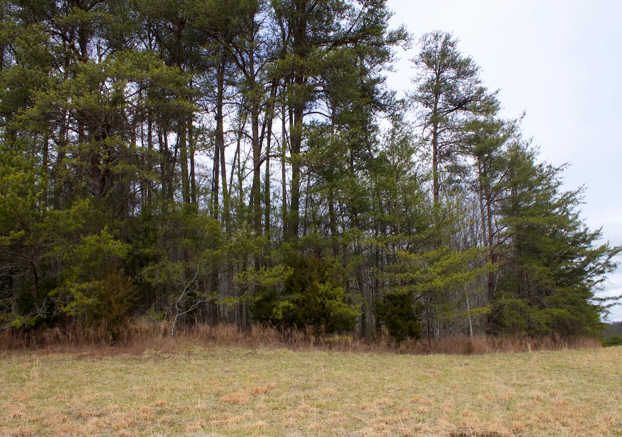 Majestic Rock Ranch Tract 10 photo 22