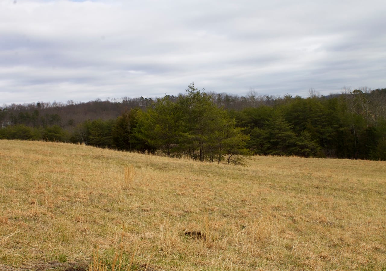 Majestic Rock Ranch Tract 10 photo 24