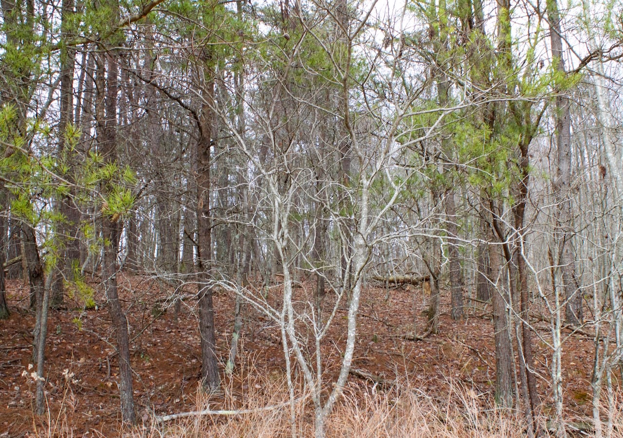 Majestic Rock Ranch Tract 10 photo 25