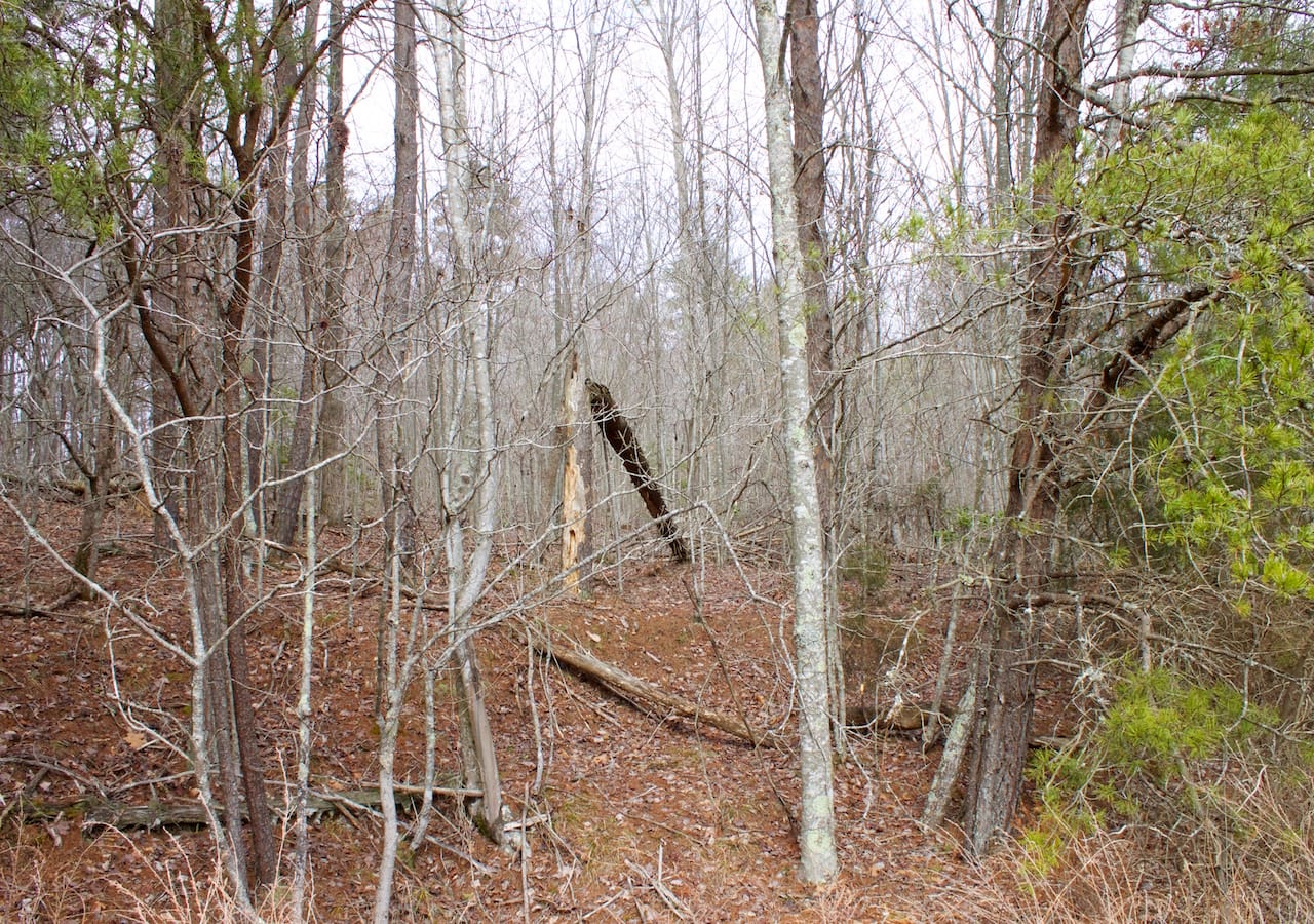 Majestic Rock Ranch Tract 10 photo 26