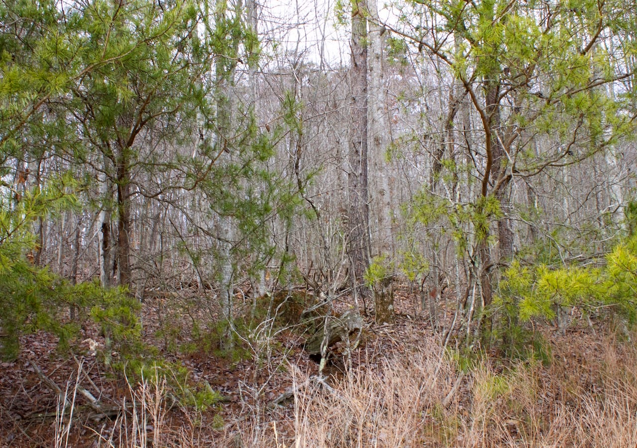Majestic Rock Ranch Tract 10 photo 30