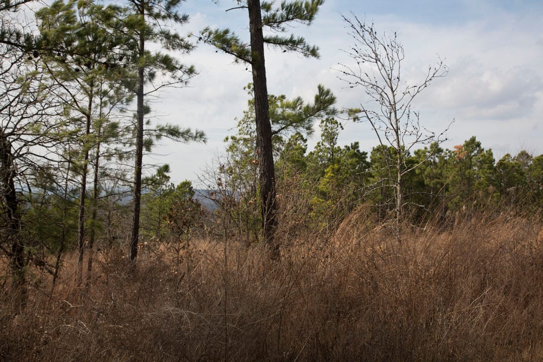 Stone Creek Phase III Tract 86 photo 3