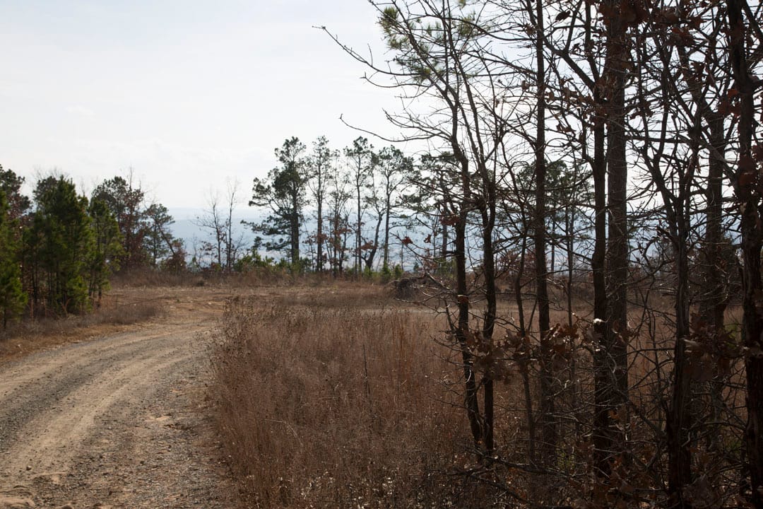Stone Creek Phase III Tract 86 photo 4