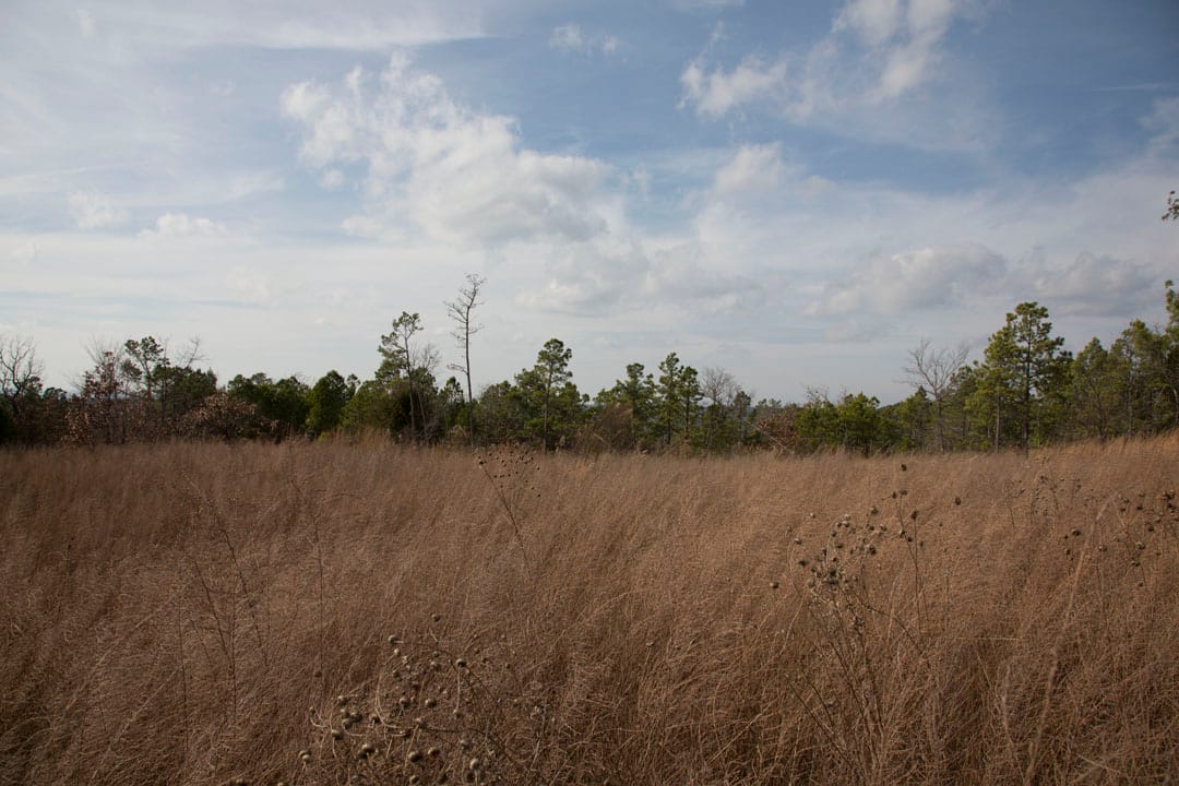 Stone Creek Phase III Tract 86 photo 5