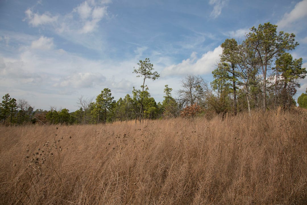Stone Creek Phase III Tract 86 photo 6