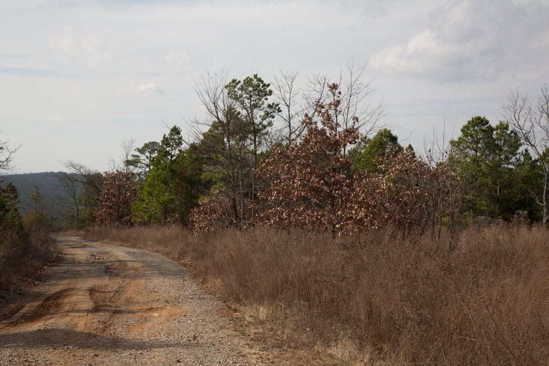 Stone Creek Phase III Tract 86 photo 7