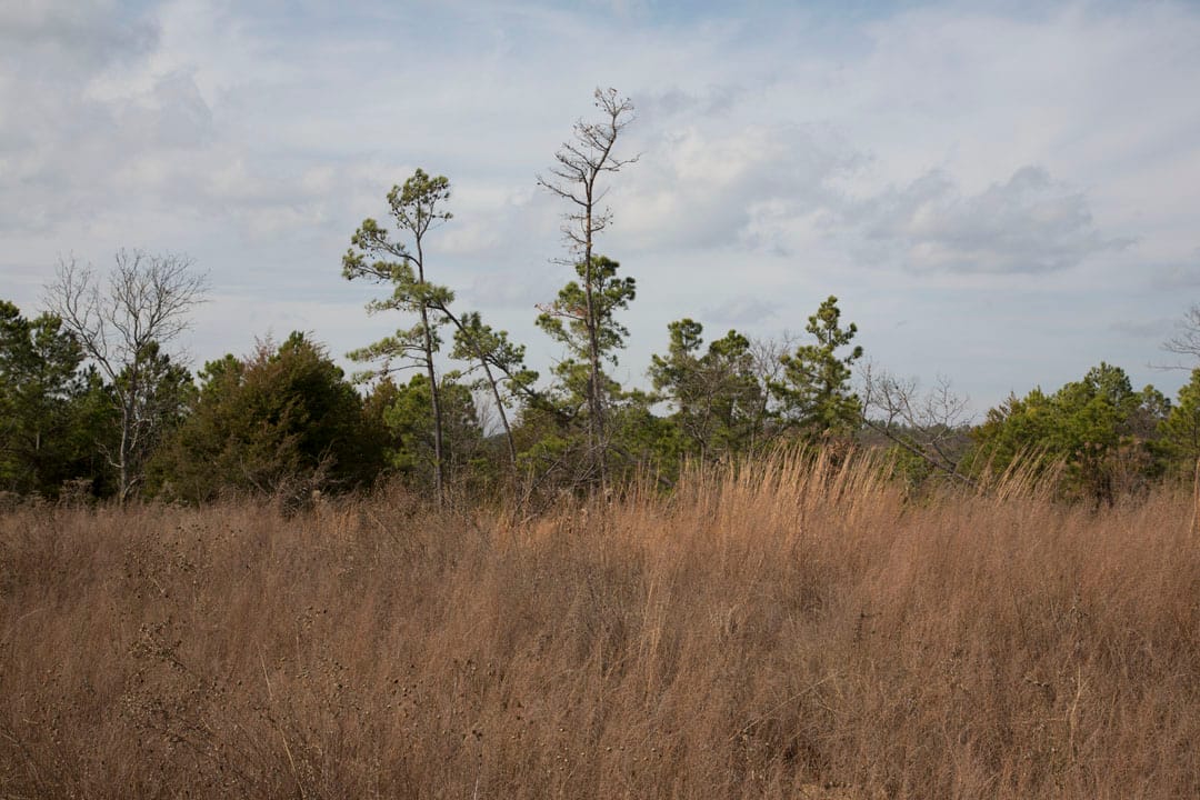 Stone Creek Phase III Tract 86 photo 8