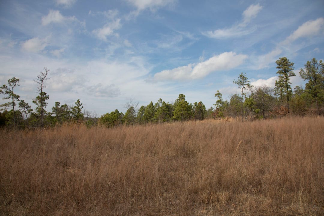 Stone Creek Phase III Tract 86 photo 9