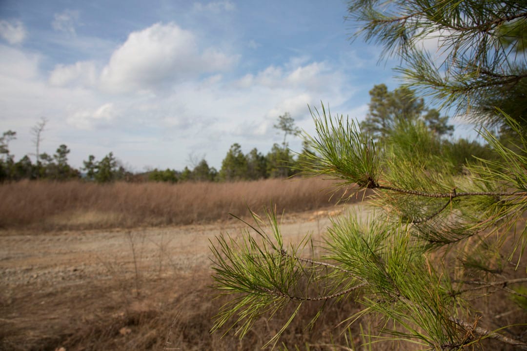 Stone Creek Phase III Tract 86 photo 10