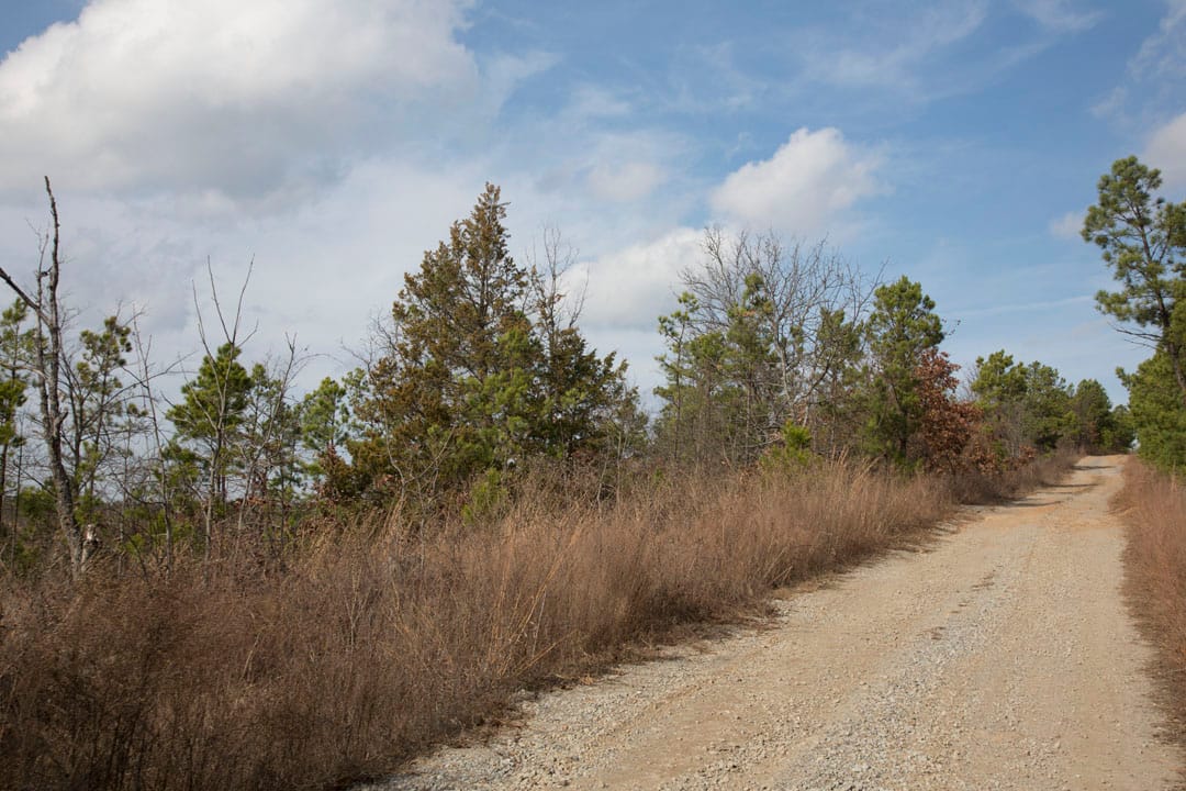 Stone Creek Phase III Tract 86 photo 12