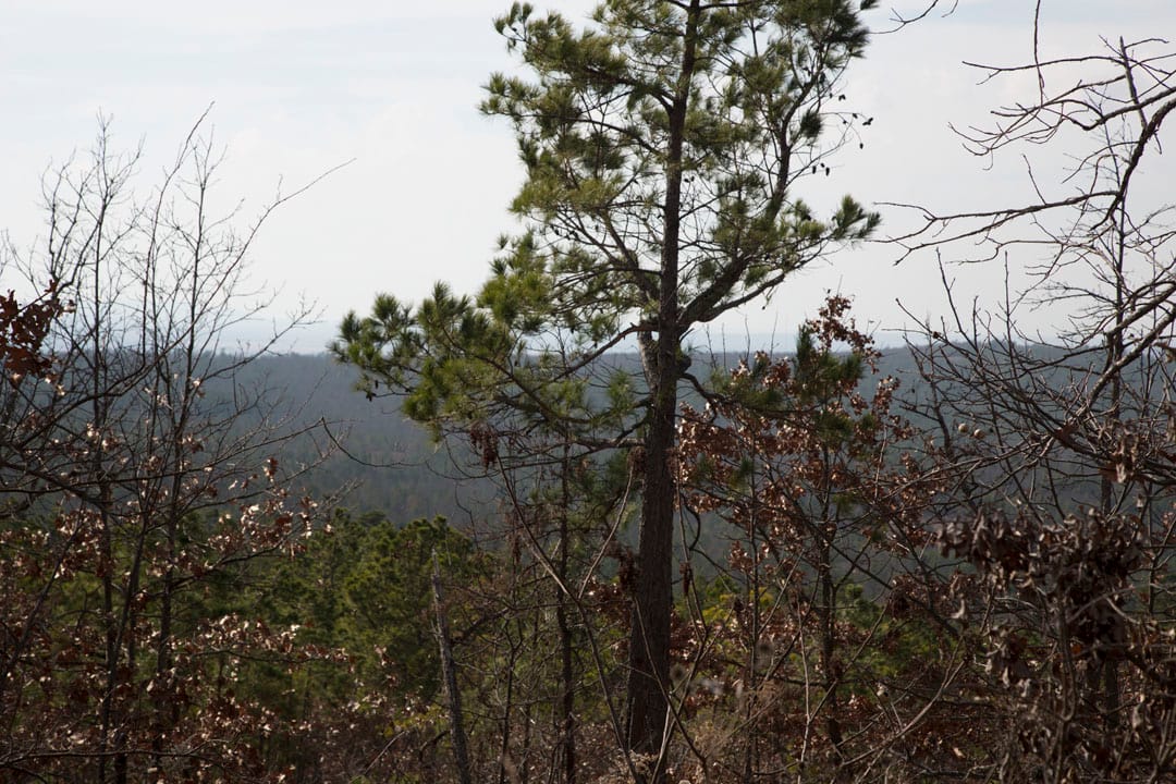 Stone Creek Phase III Tract 86 photo 14