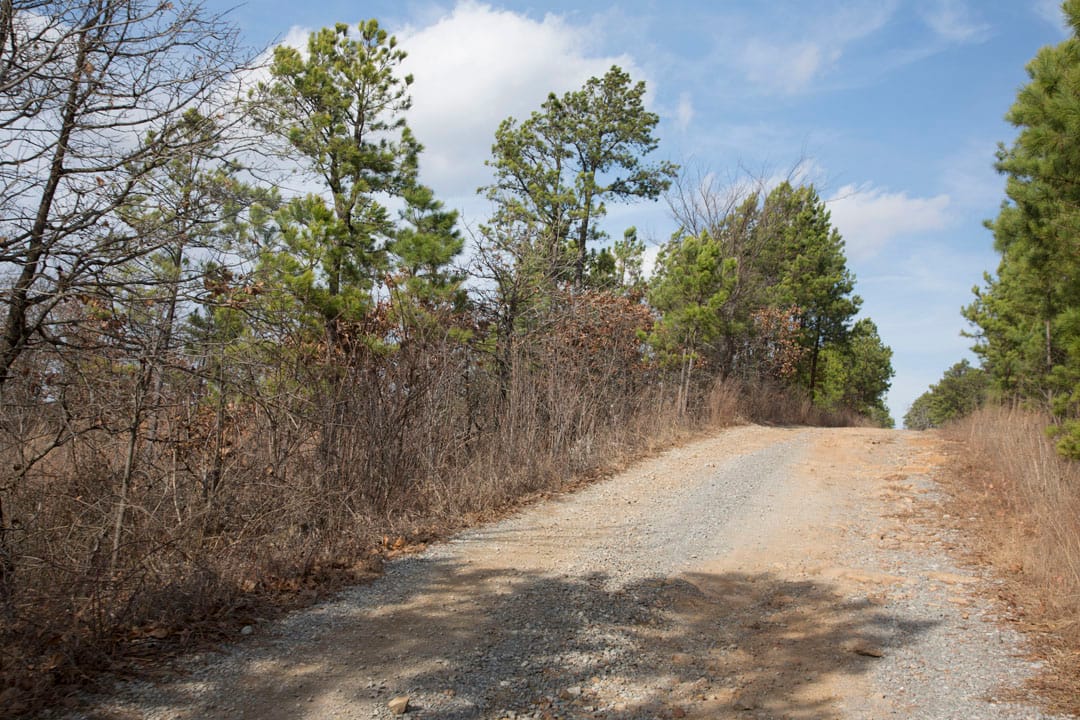Stone Creek Phase III Tract 86 photo 15