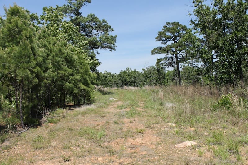 Indian Ridge – Phase II Tract 64 photo 1
