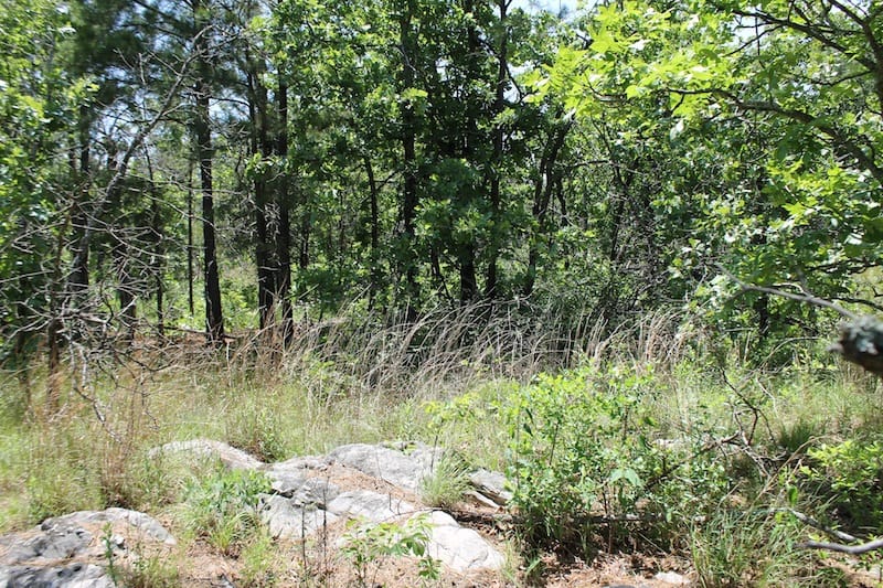 Indian Ridge – Phase II Tract 64 photo 5