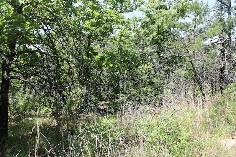 Indian Ridge – Phase II Tract 64 photo 6