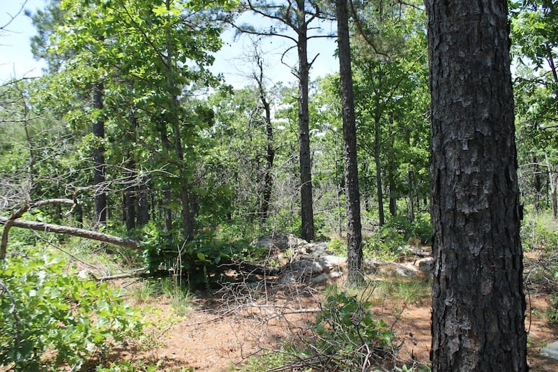 Indian Ridge – Phase II Tract 64 photo 8