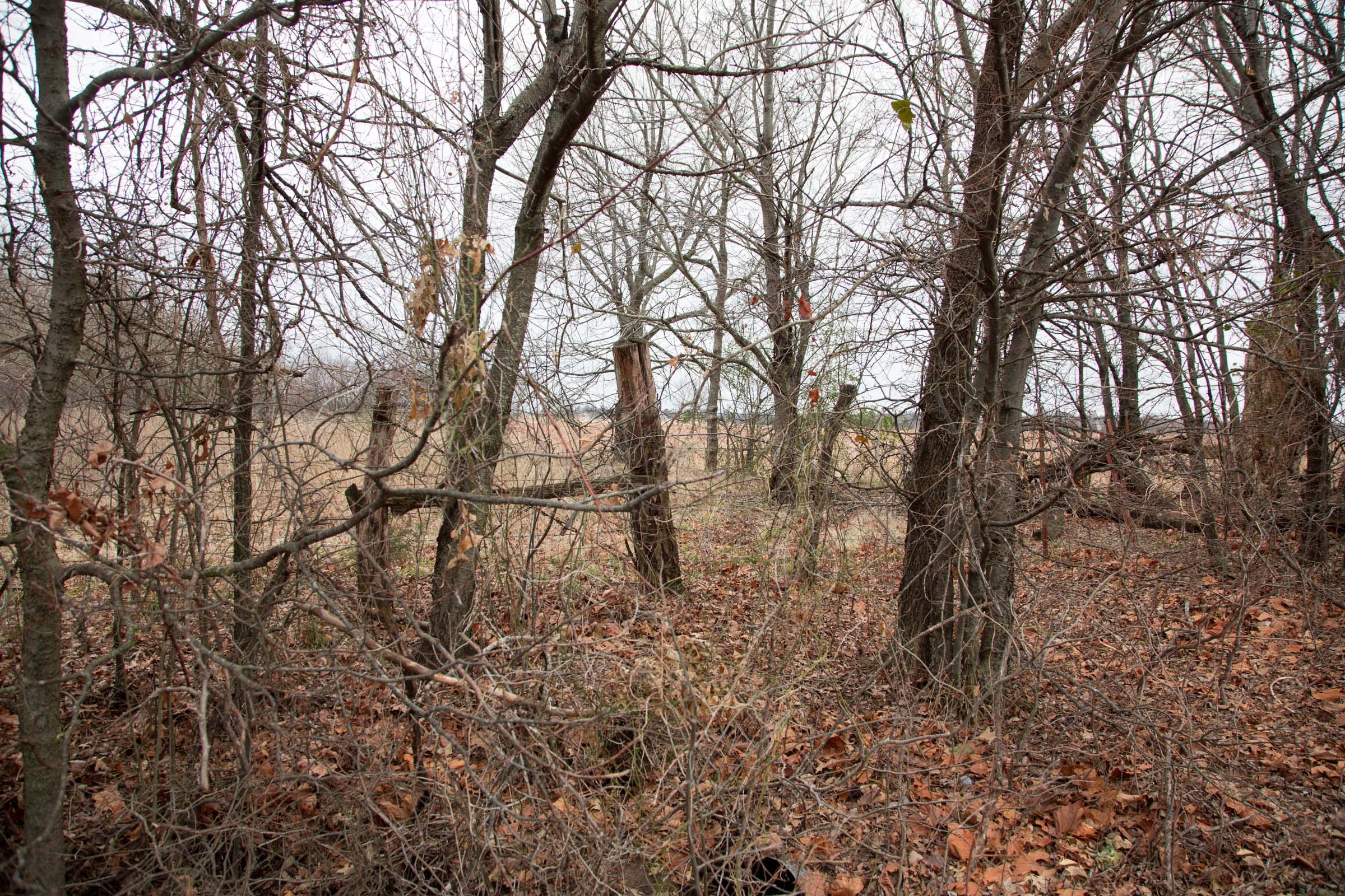 Canadian Plains Tract 8 photo 2