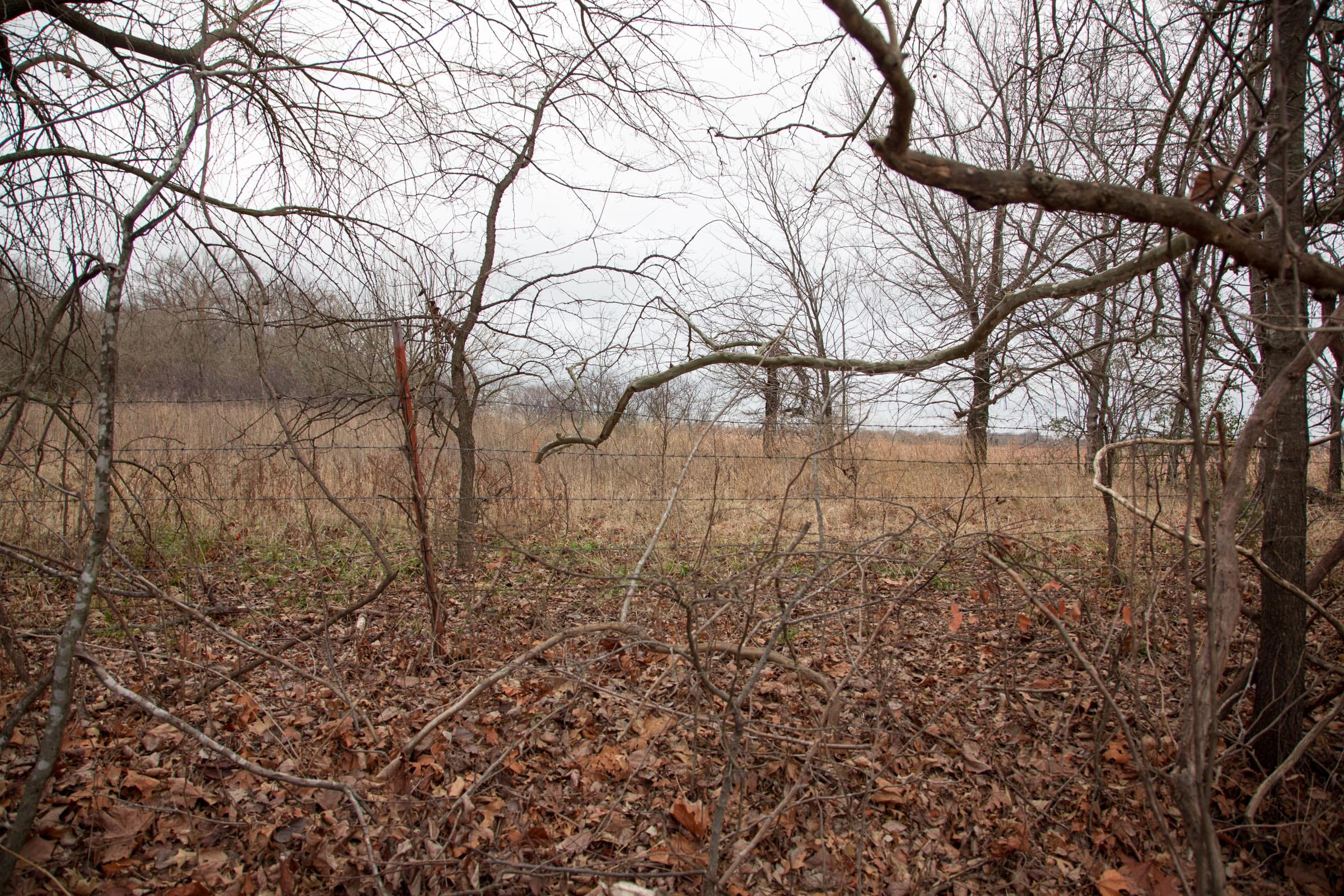 Canadian Plains Tract 8 photo 3