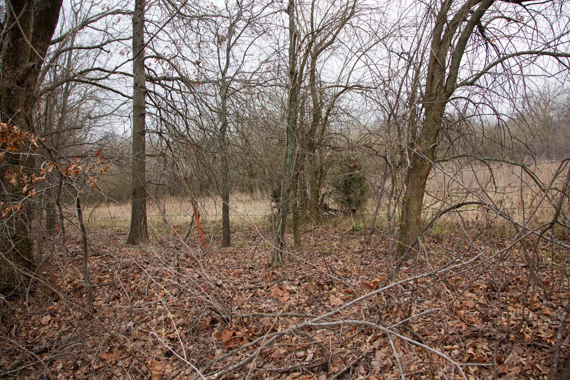 Canadian Plains Tract 8 photo 4