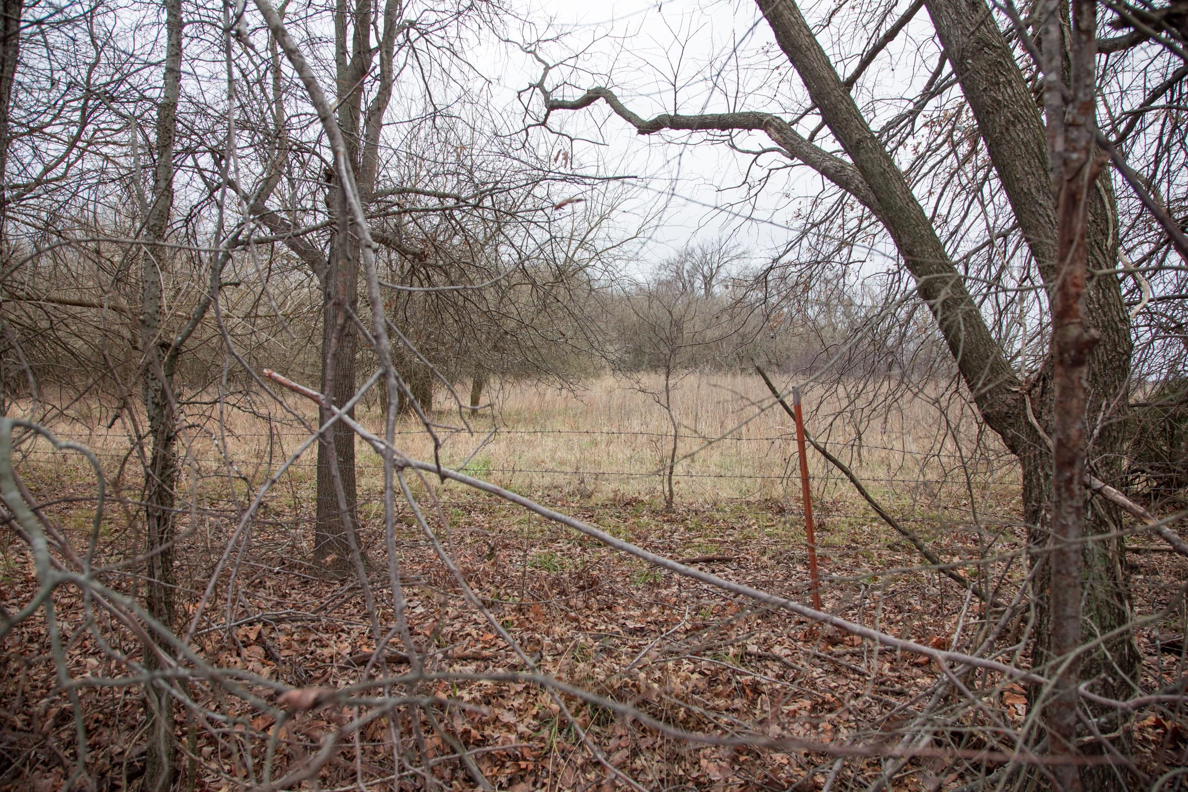 Canadian Plains Tract 8 photo 7