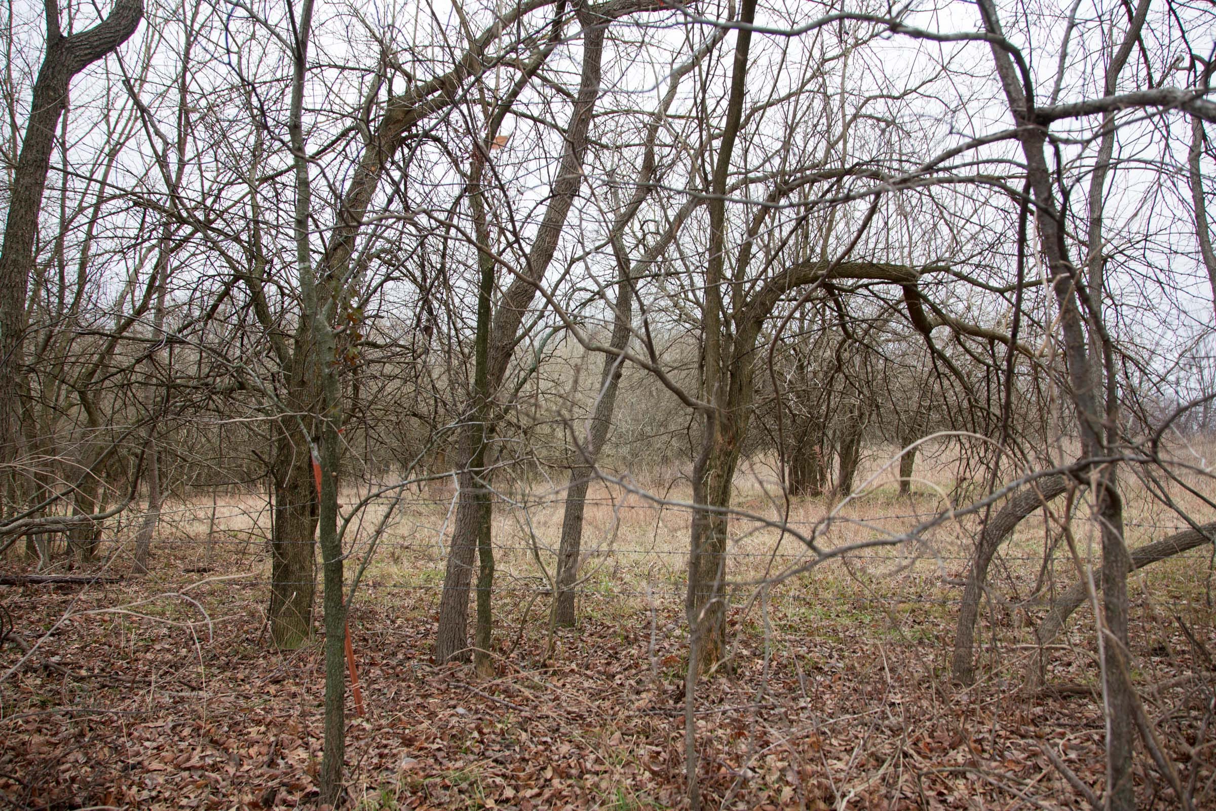 Canadian Plains Tract 8 photo 8