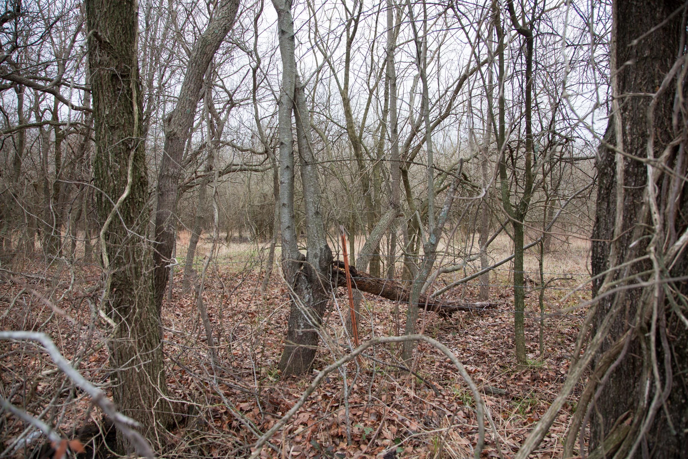 Canadian Plains Tract 8 photo 10