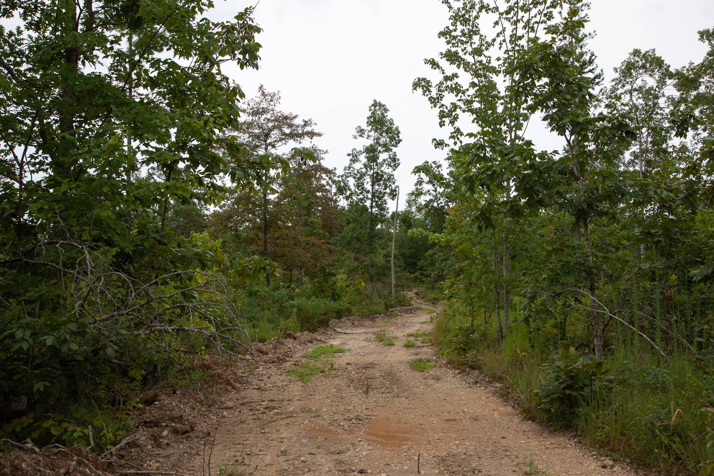 Borgmann’s Hollow Phase I Tract 28 photo 2