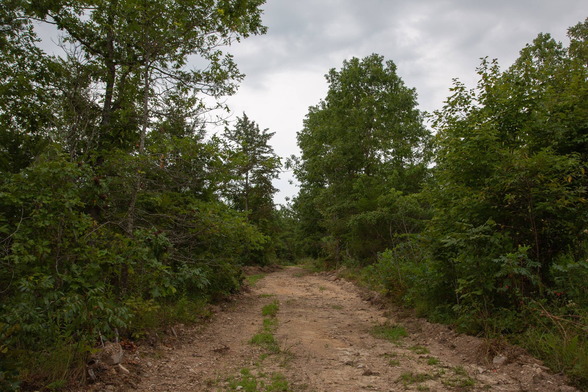 Borgmann’s Hollow Phase I Tract 28 photo 9
