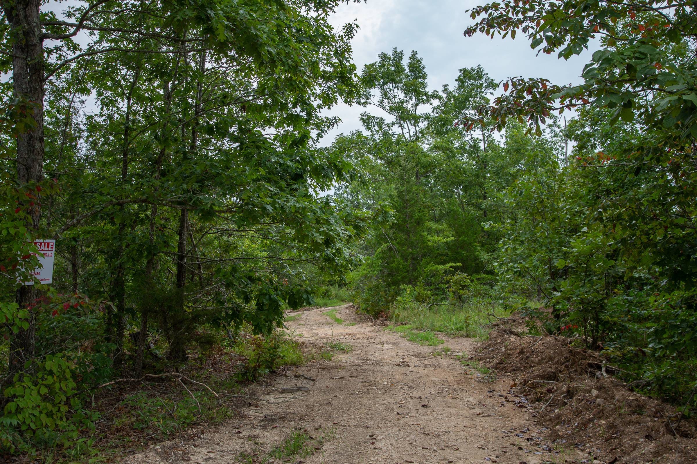 Borgmann’s Hollow Phase I Tract 28 photo 17