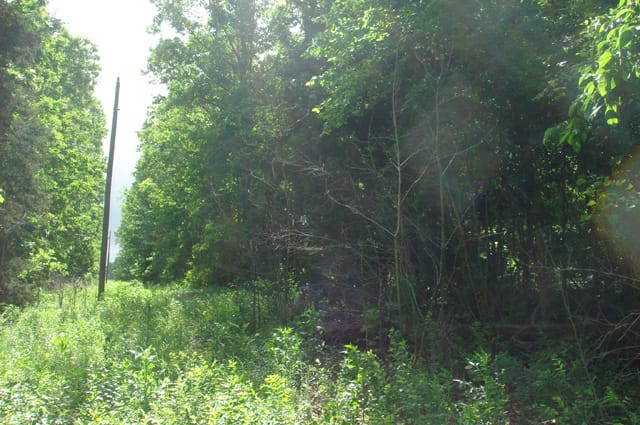 Whispering Oaks Tract 6 photo 3