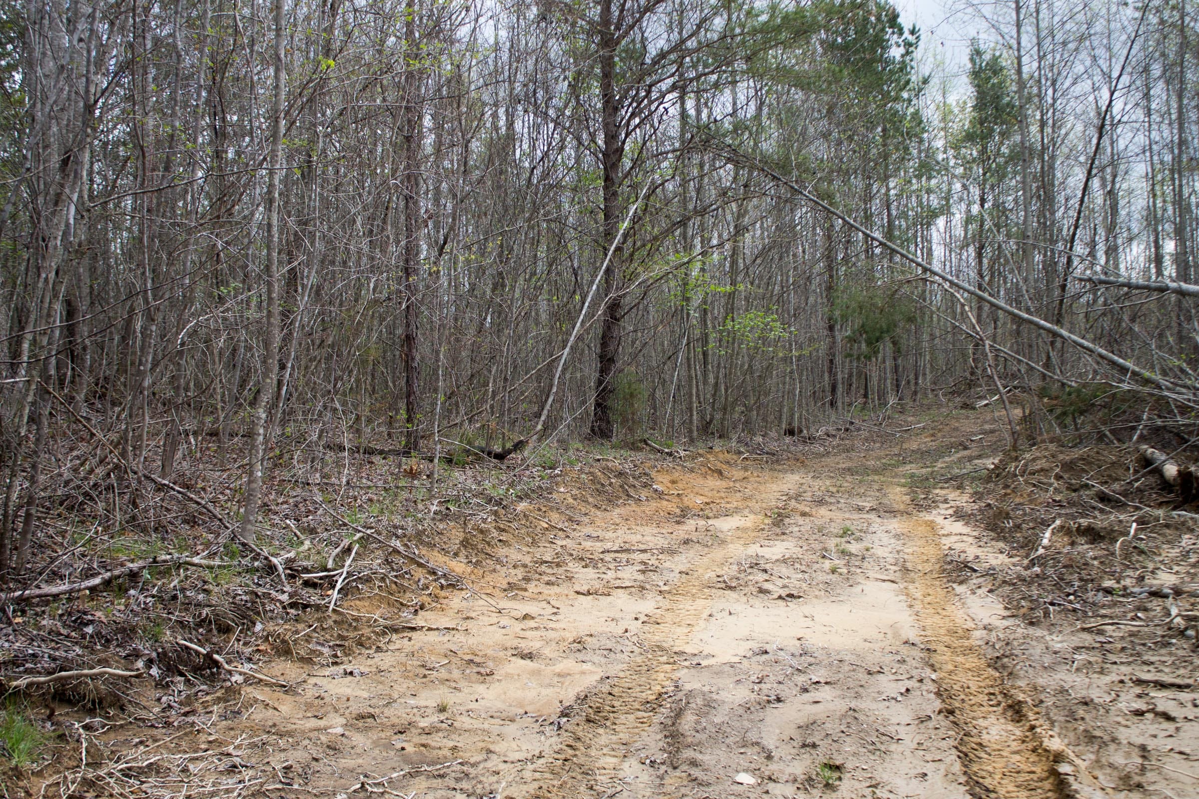 Hidden Hills Tract 21 photo 1