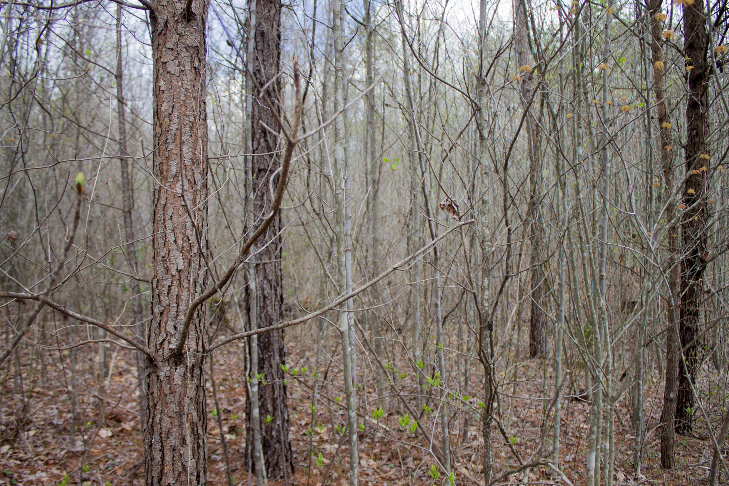 Hidden Hills Tract 21 photo 3