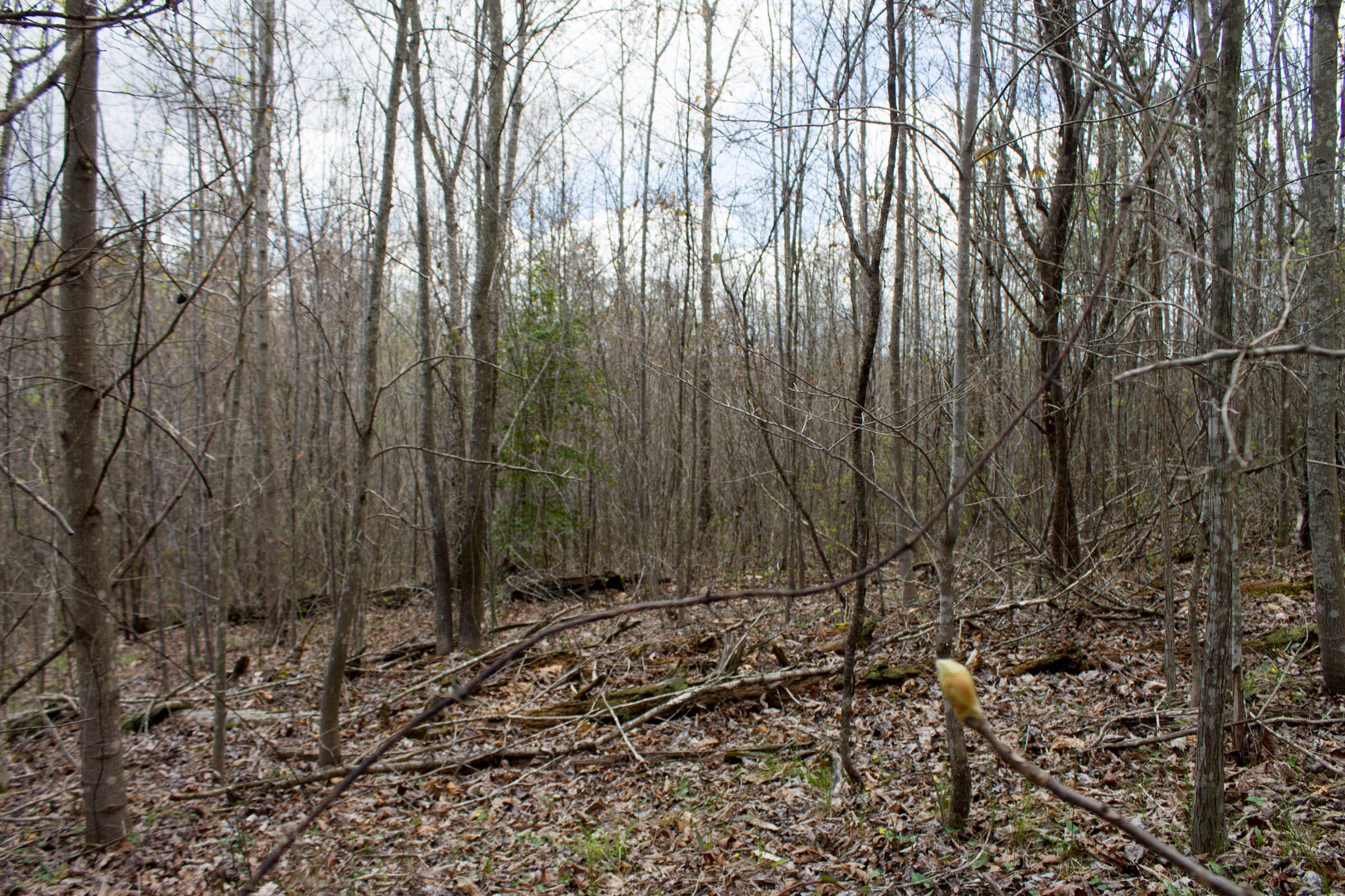 Hidden Hills Tract 21 photo 5