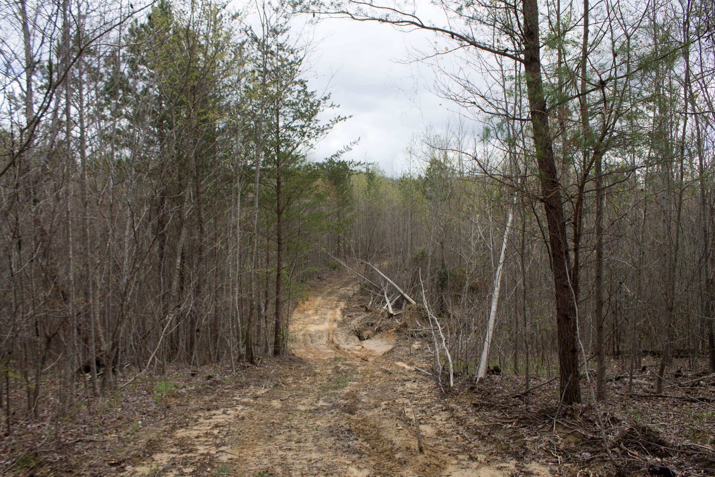 Hidden Hills Tract 21 photo 6