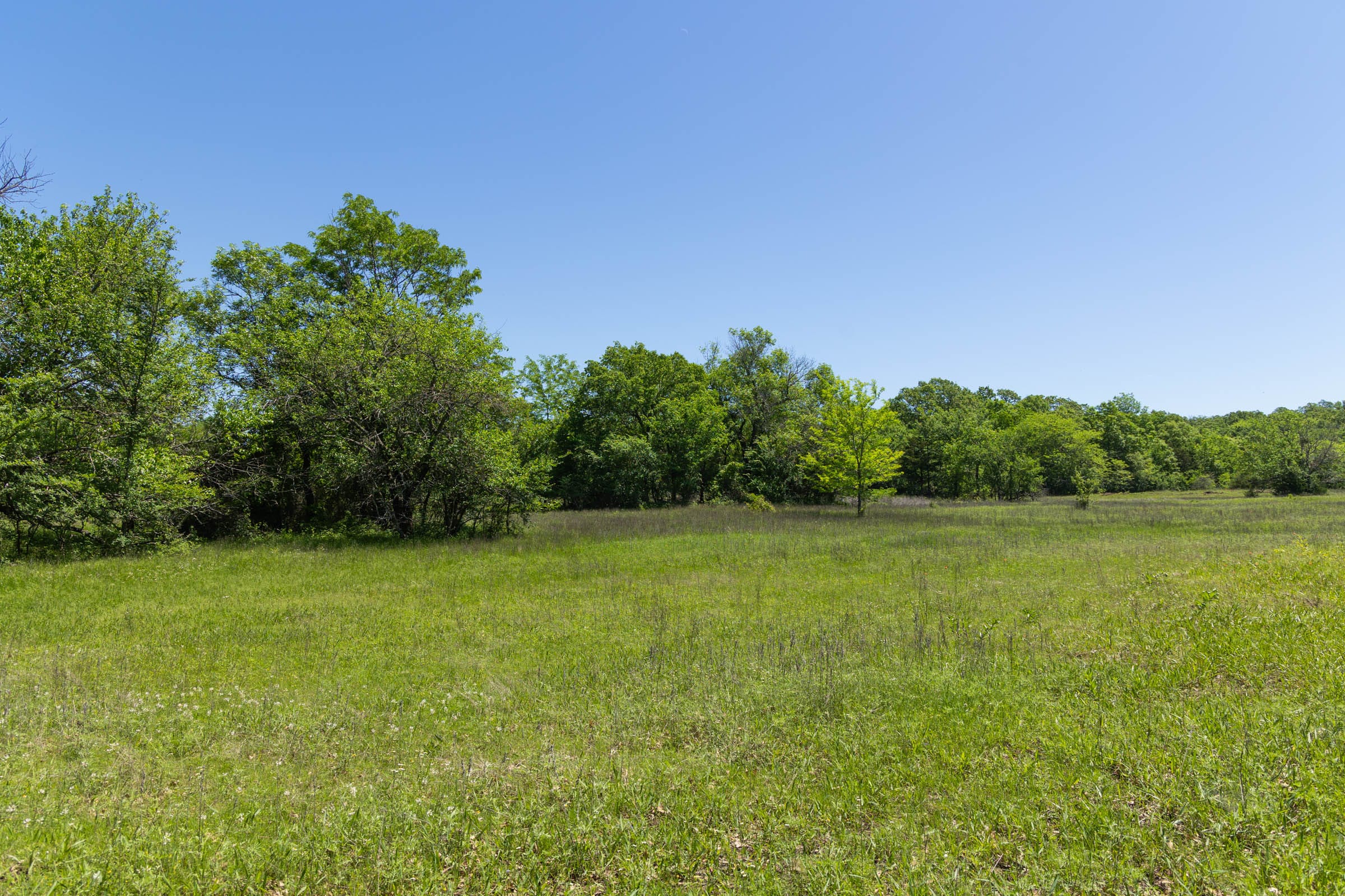 Harmony Hills Tract 23 photo 7