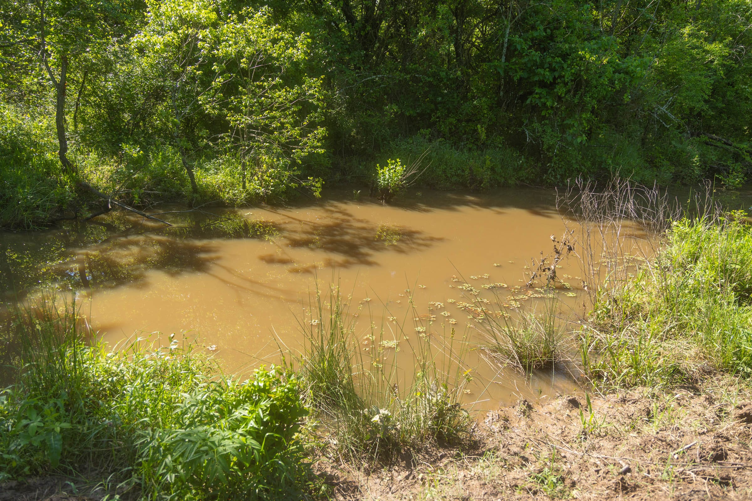 Harmony Hills Tract 23 photo 4
