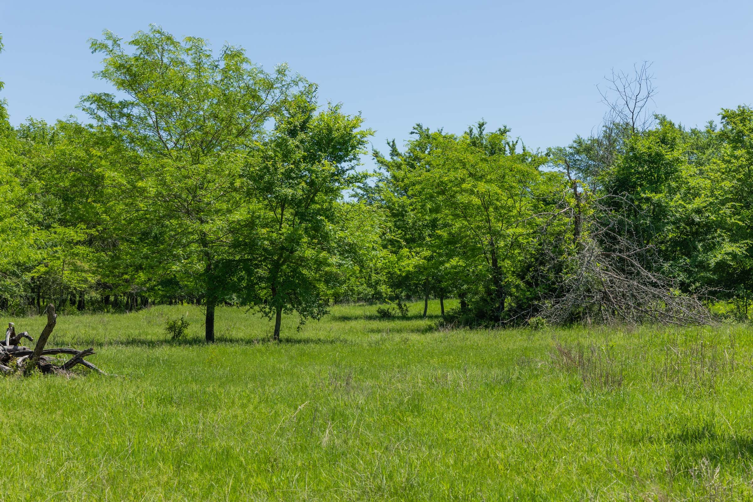 Harmony Hills Tract 23 photo 13