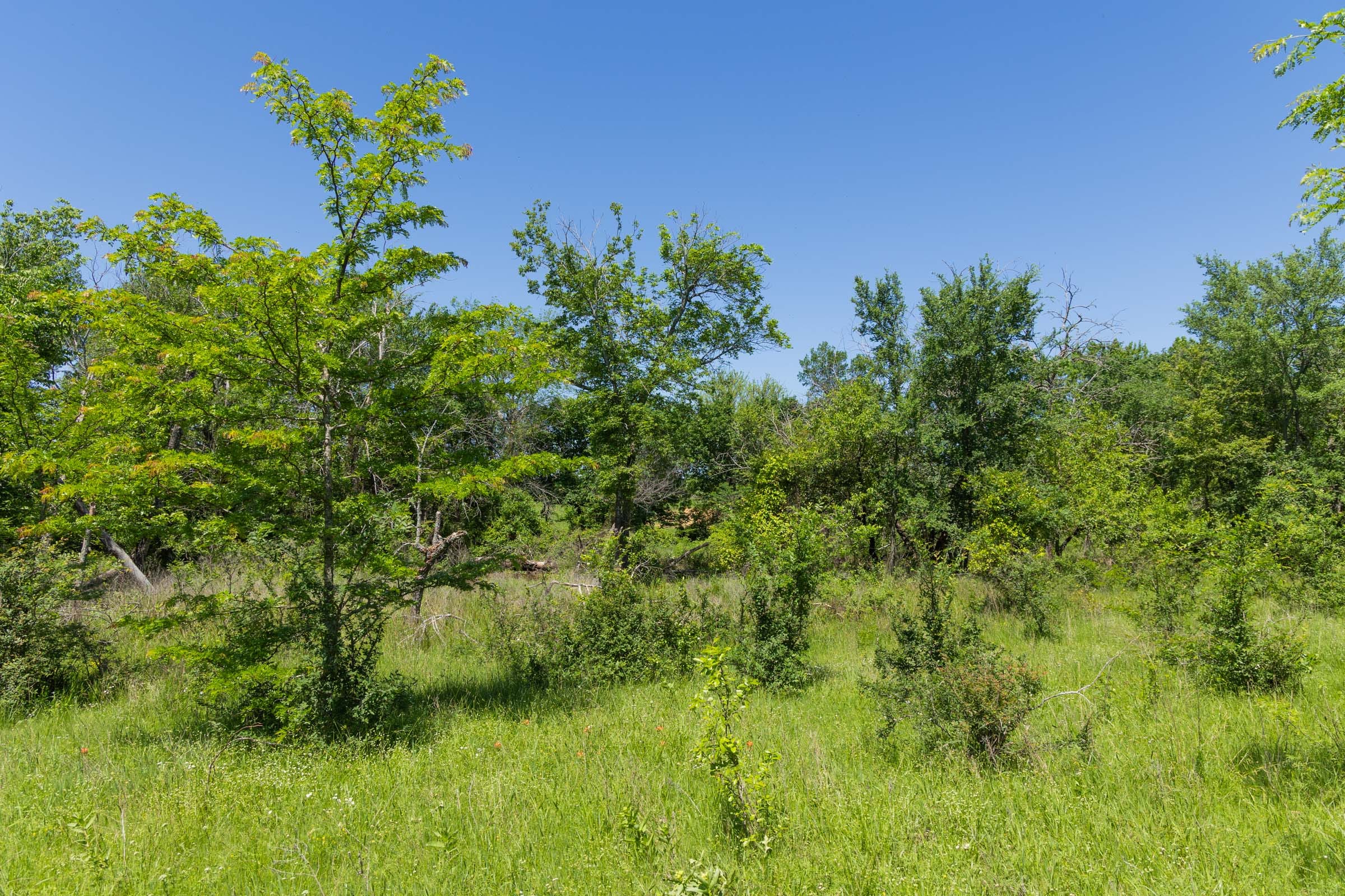 Harmony Hills Tract 23 photo 3