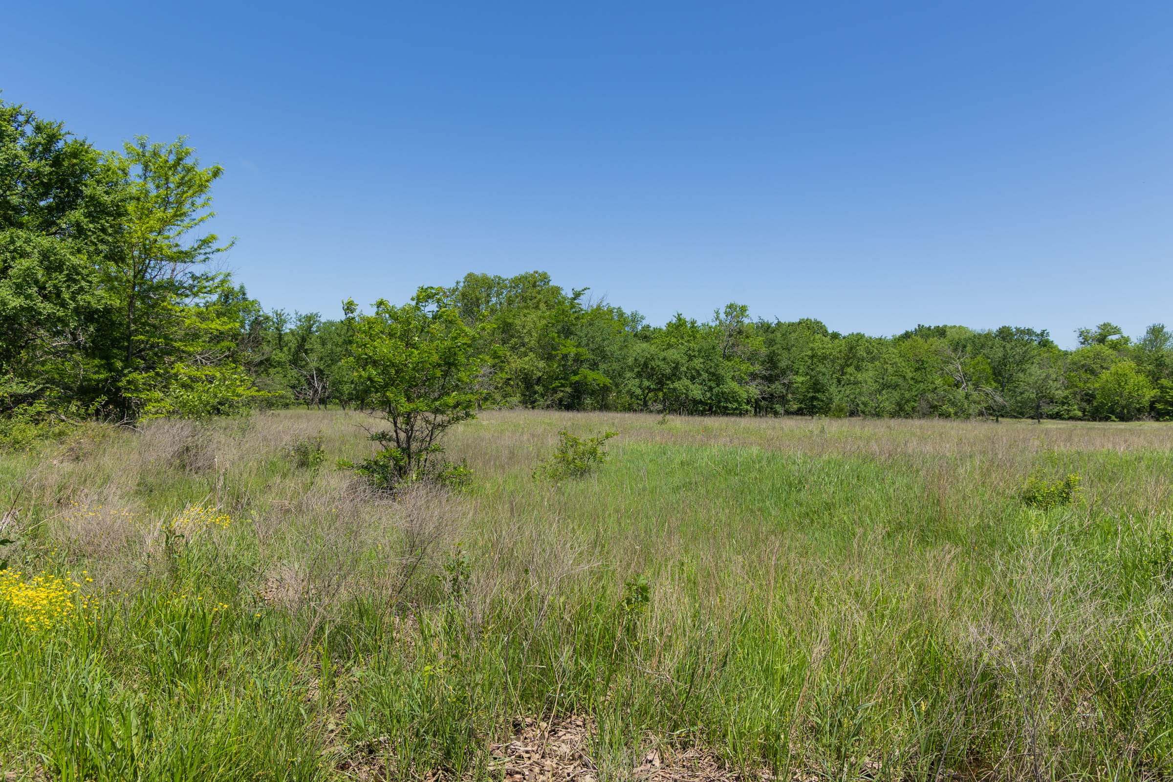 Harmony Hills Tract 23 photo 15