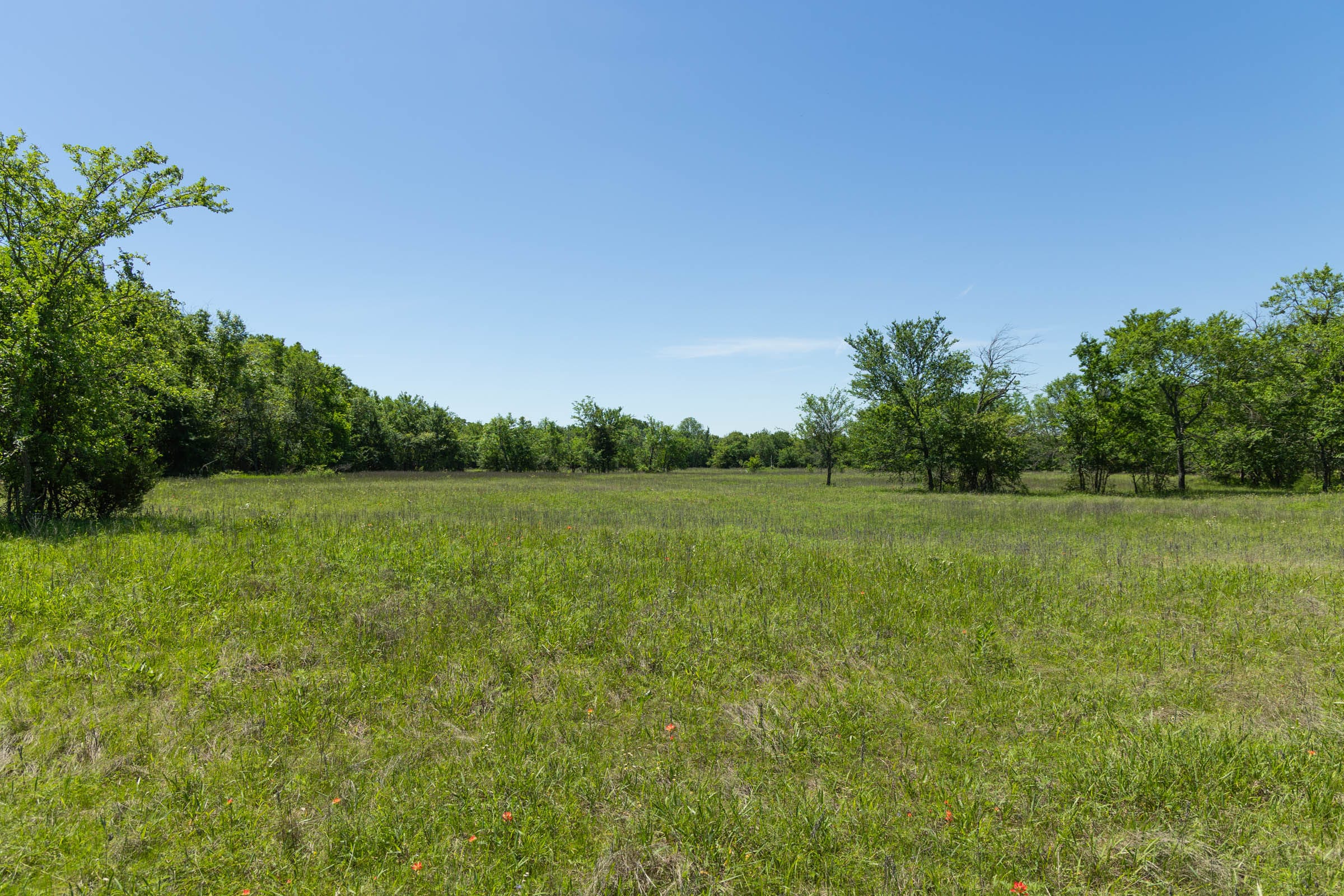 Harmony Hills Tract 23 photo 12
