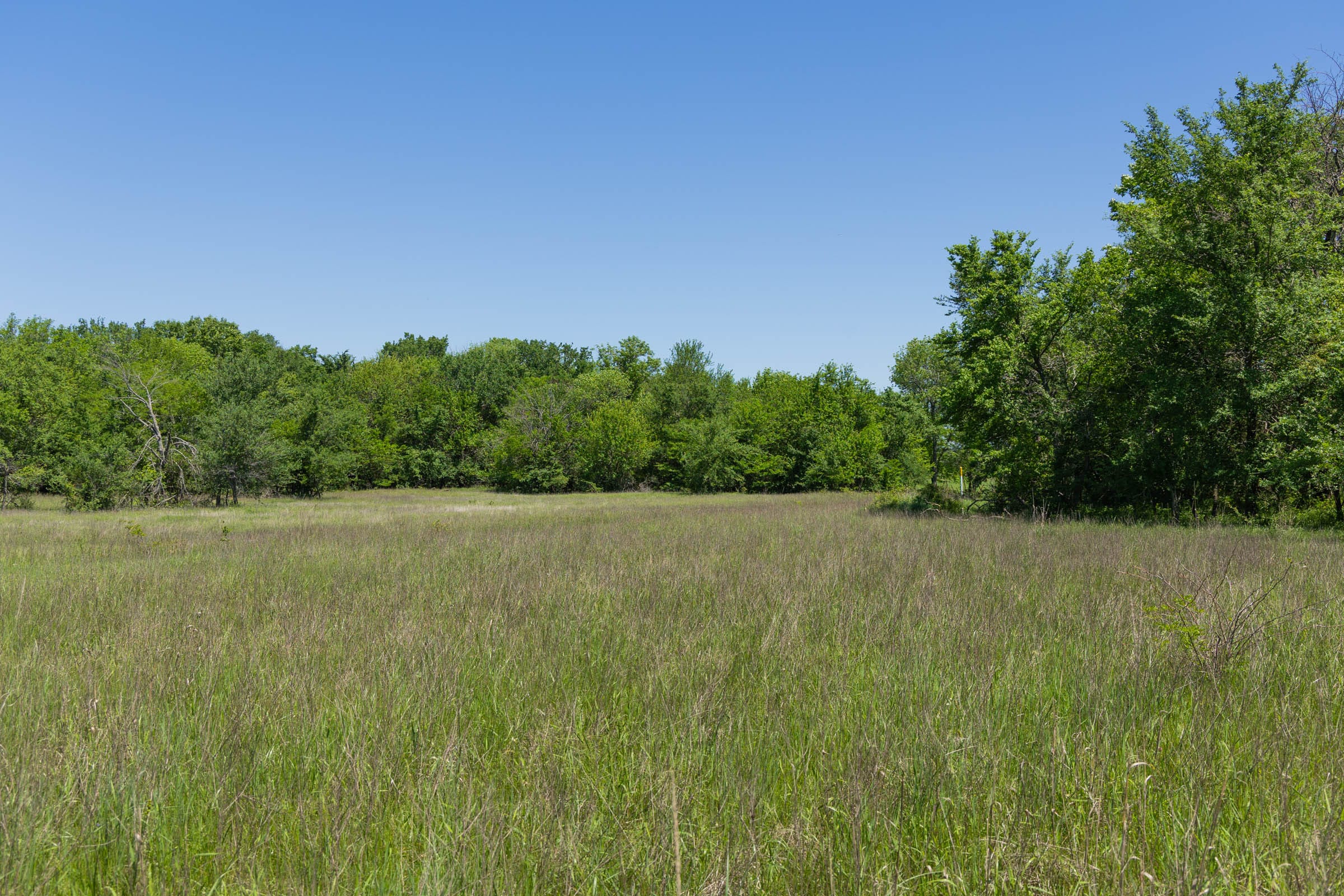 Harmony Hills Tract 23 photo 8